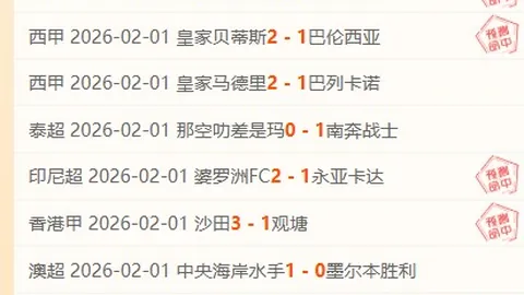 郑钦文对近期进展感言失望，全力调整心态九派报道